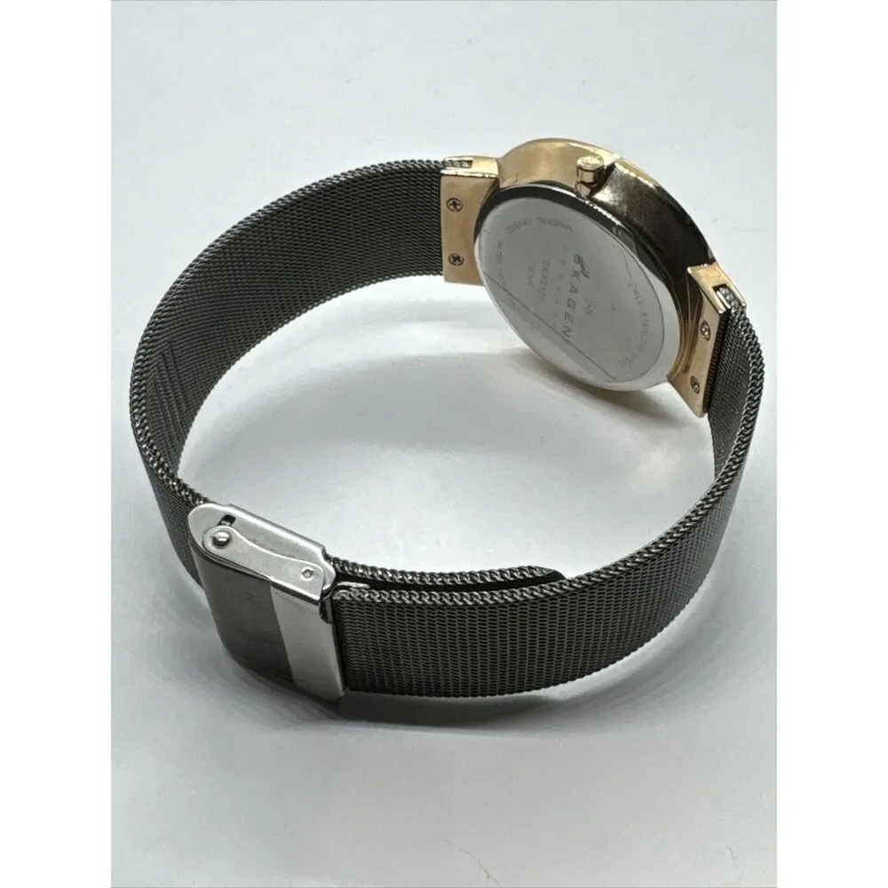 Skagen SKW2120 Women's Gray Stainless Steel Mesh Analog Dial Quartz Watch JNA907